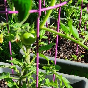 Meet your Posher, Janet